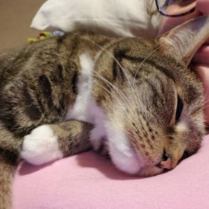 Meet your Posher, Emma